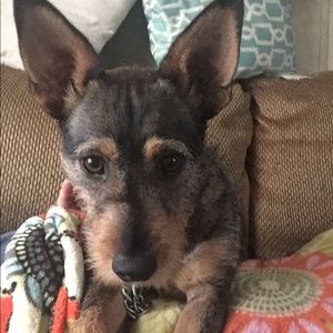 Meet your Posher, Mandy